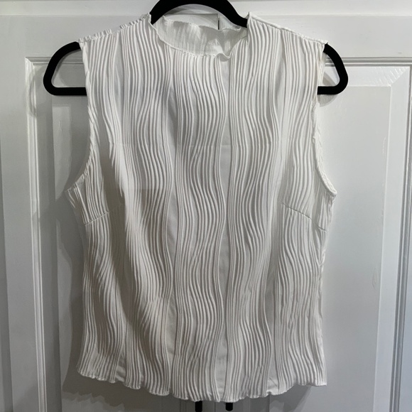 Woman’s Size Large Sleeveless Blouse - Picture 1 of 2